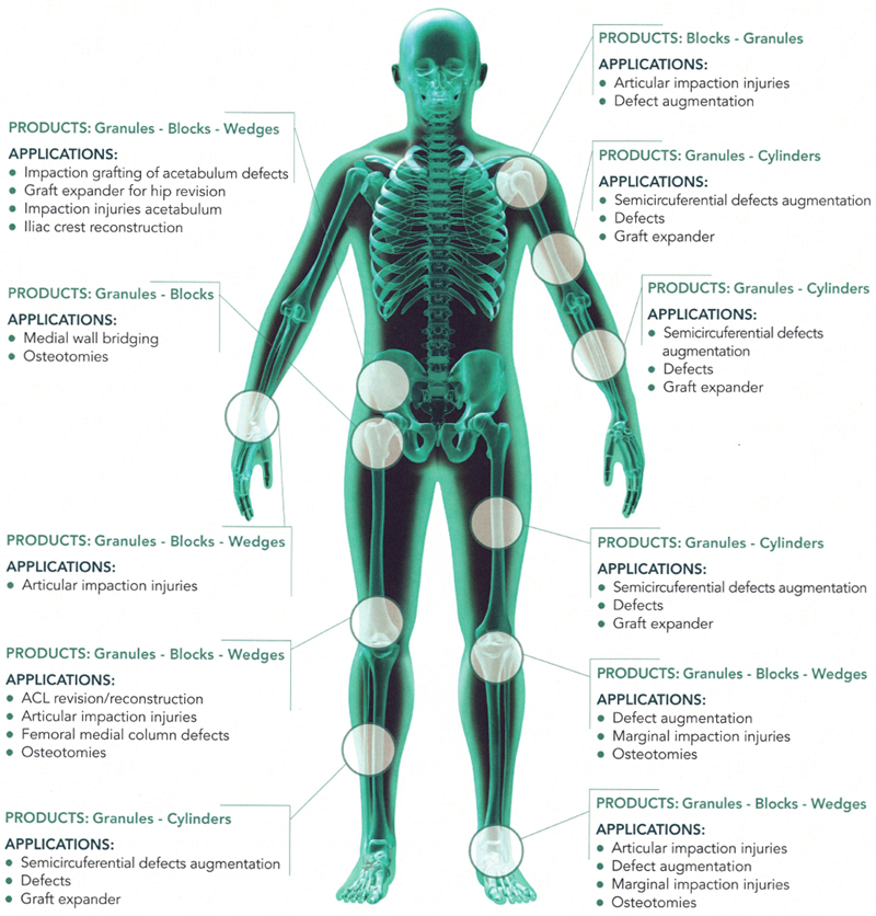 Greenbone b.bone Clinical Applications